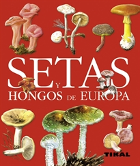 Books Frontpage Setas y hongos de europa