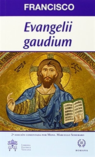Books Frontpage "Evangelii Gaudium"