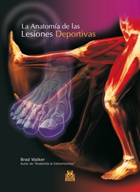 Books Frontpage Anatomía de las lesiones deportivas, La (Color)