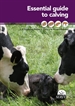 Front pageEssential guide to calving