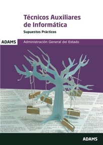 Books Frontpage Supuestos prácticos Técnicos Auxiliares de Informática de la Administración General del Estado