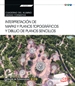 Front pageCuaderno del alumno. Interpretación de mapas y planos topográficos y dibujo de planos sencillos (UF0429). Certificados de porfesionalidad. Jardinería y restauración del paisaje (AGAO0308)