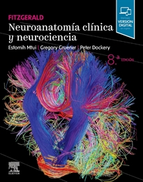 Books Frontpage Fitzgerald. Neuroanatomía clínica y neurociencia, 8.ª edición