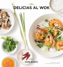 Books Frontpage Delicias al wok