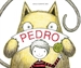 Front pagePedro