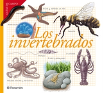 Books Frontpage Los invertebrados