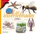 Front pageLos invertebrados