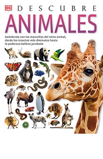 Books Frontpage Animales, Descubre