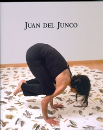 Books Frontpage Catálogo de Juan del Junco
