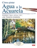 Front pageCómo Pintar Agua A La Acuarela