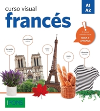 Books Frontpage Curso visual francés