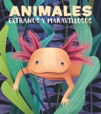 Books Frontpage Animales extraños y maravillosos (VVKIDS)