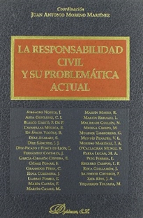 Books Frontpage La responsabilidad civil y su problemática actual