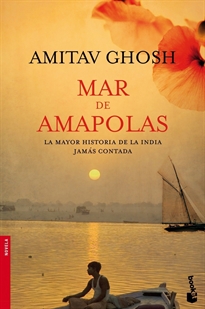 Books Frontpage Mar de amapolas