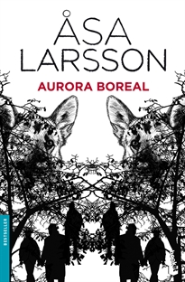 Books Frontpage Aurora boreal