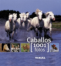 Books Frontpage Caballos