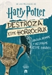 Front pageHarry Potter. Destroza este horrocrux