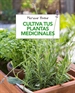 Front pageCultiva tus plantas medicinales