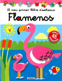 Books Frontpage Flamencs