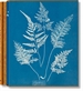 Front pageAnna Atkins. Cyanotypes