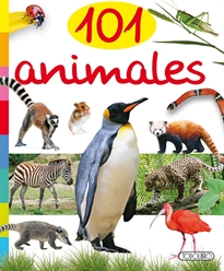Books Frontpage 101 animales