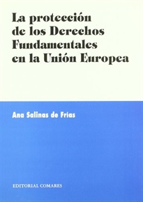 Books Frontpage La proteccion de los derechos fundamentales en la union europea