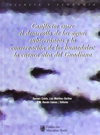 Books Frontpage Conflictos entre el desarrollo de las aguas subterráneas y la conservación de los humedales: La cuenca alta del Guadiana