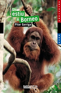 Books Frontpage Un estiu a Borneo