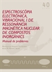 Front pageEspectroscòpia electrònica, vibracional i de ressonància magnètica nuclear de compostos inorgànics
