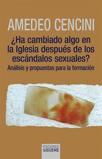 Books Frontpage ¿Ha cambiado algo en la Iglesia después de los escándalos sexuales?