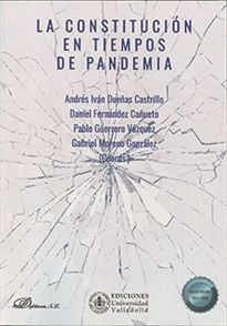Books Frontpage La Constitución En Tiempos De Pandemia