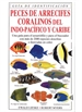 Front pagePeces De Arrecifes Coralinos