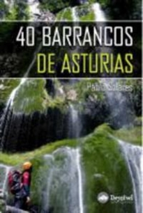 Books Frontpage 40 barrancos de Asturias