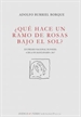 Front page¿Qué hace un ramo de rosas bajo el sol?