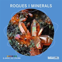 Books Frontpage Roques i minerals