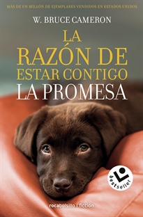 Books Frontpage La razón de estar contigo 3 - La promesa