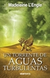 Front pageUn torrente de aguas turbulentas