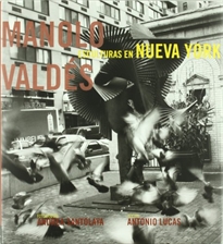 Books Frontpage Manolo Valdés en Nueva York
