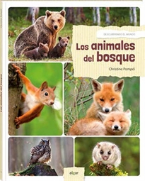 Books Frontpage Los animales del bosque