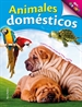 Front pageAnimales Domésticos