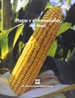 Front pagePlagas y enfermedades del maíz