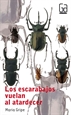 Front pageLos escarabajos vuelan al atardecer
