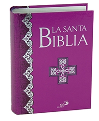 Books Frontpage La Santa Biblia - Edición de bolsillo – Canto plateado