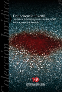 Books Frontpage Delincuencia juvenil