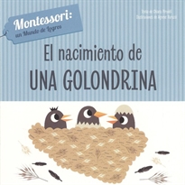 Books Frontpage El Nacimiento De Una Golondrina (Vvkids)