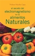 Front pageSecreto del electromagnetismo de los alimentos narturales