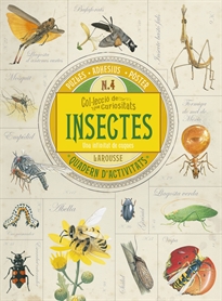Books Frontpage Col.lecció de curiositats. Insectes
