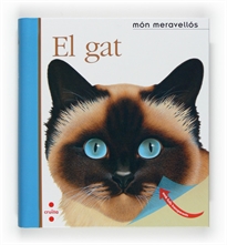 Books Frontpage El gat