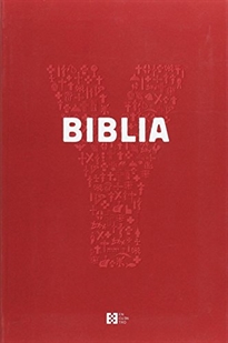 Books Frontpage Youcat Biblia