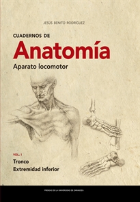 Books Frontpage Cuadernos de Anatomía. Aparato locomotor